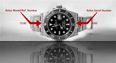 rolex number 356250|rolex watch model number lookup.